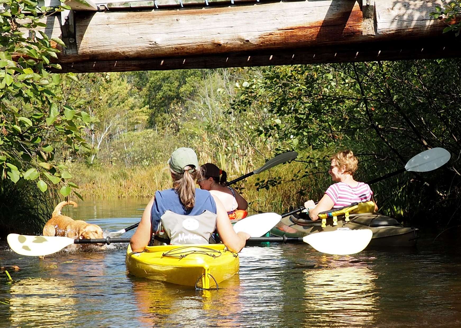 Kayaking to Upper Gresham